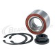 Bearing Kits Metric